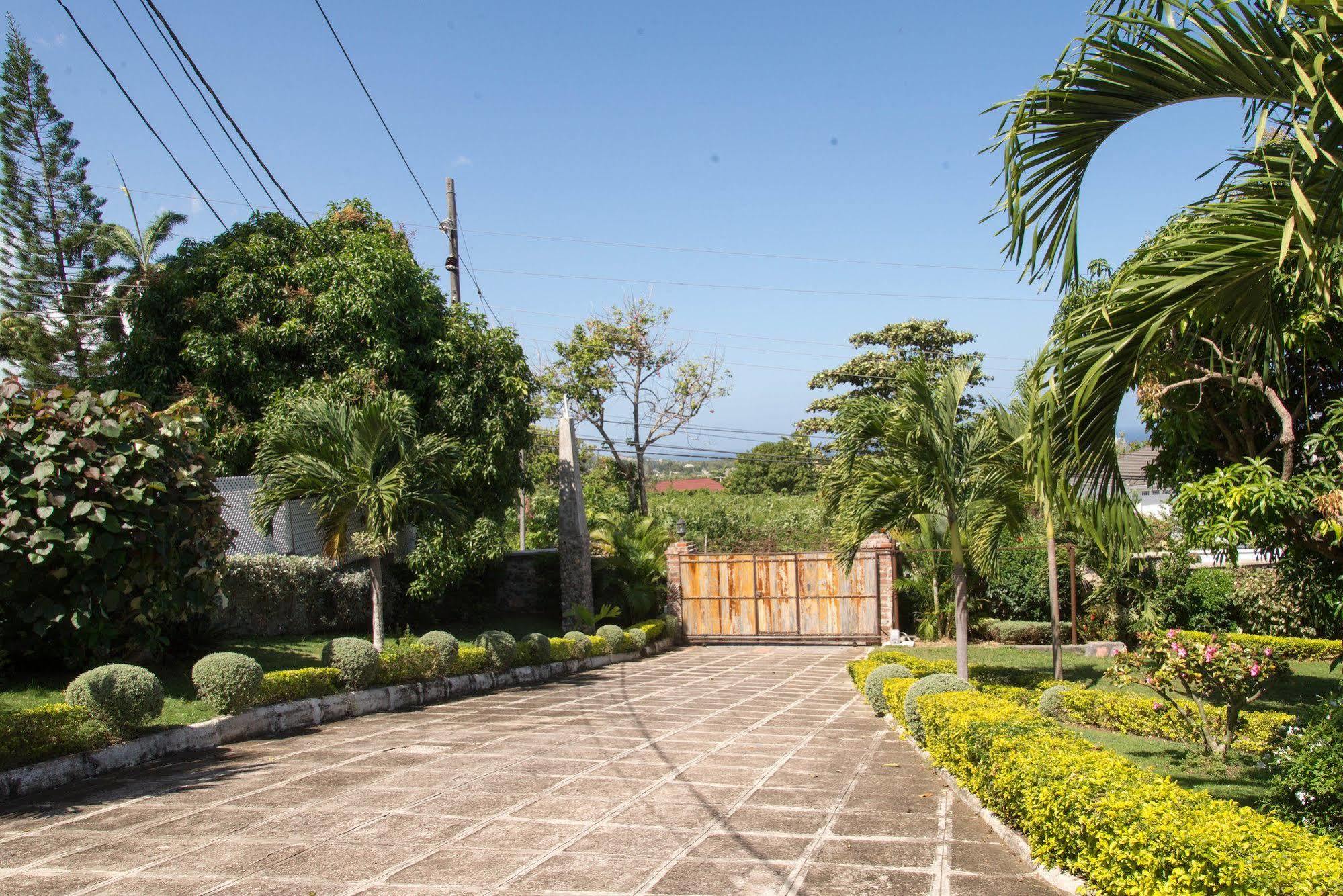 Hatfield South Villa Монтего Бей Екстериор снимка